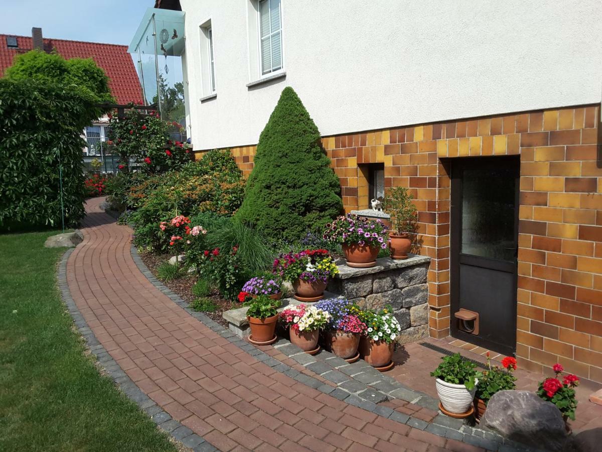 Ferienwohnung Schubert Sagard Eksteriør bilde