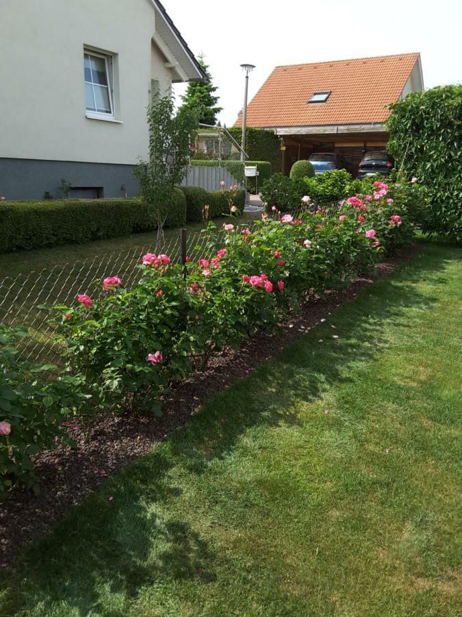 Ferienwohnung Schubert Sagard Eksteriør bilde
